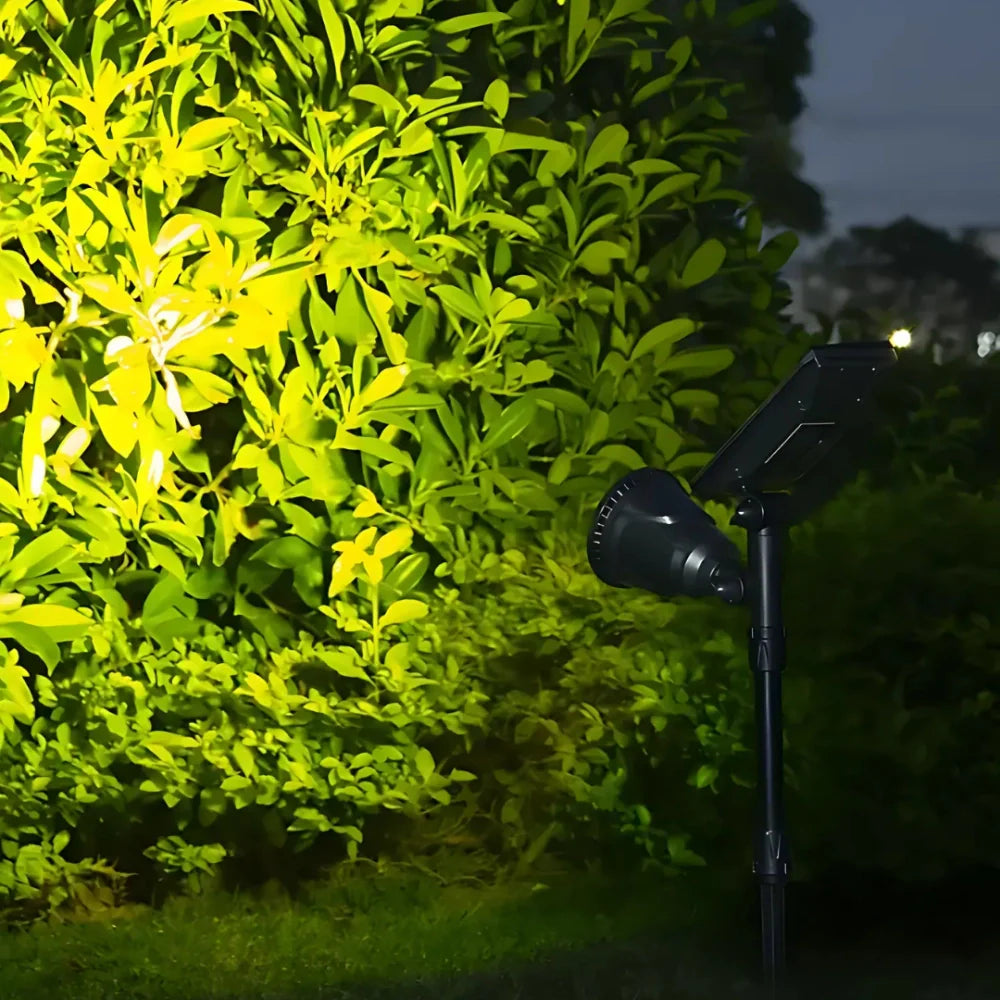 Spot solaire jardin LED solaire extérieur IP55 étanche détecteur crépusculaire design moderne réglable