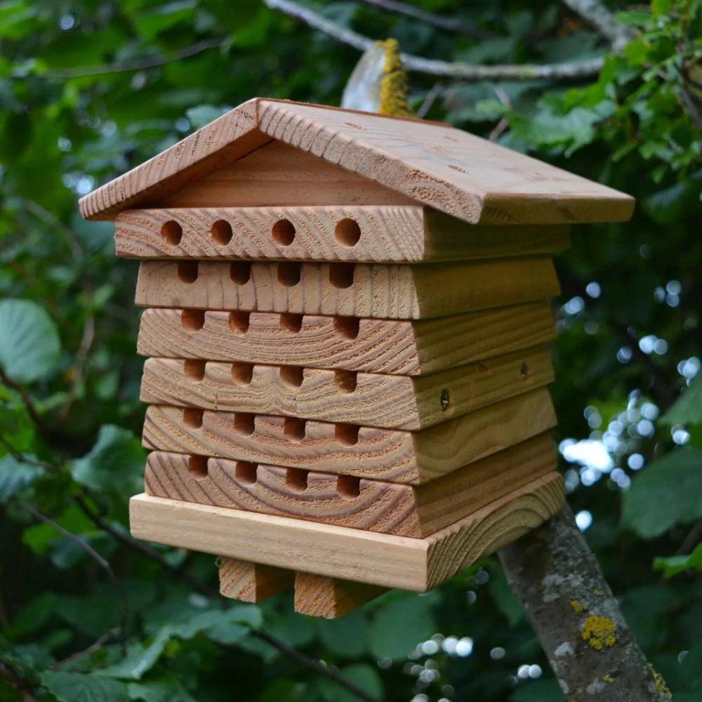 Hôtel À Abeilles | Bois De Cèdre Massif, Toit En Cuivre 0