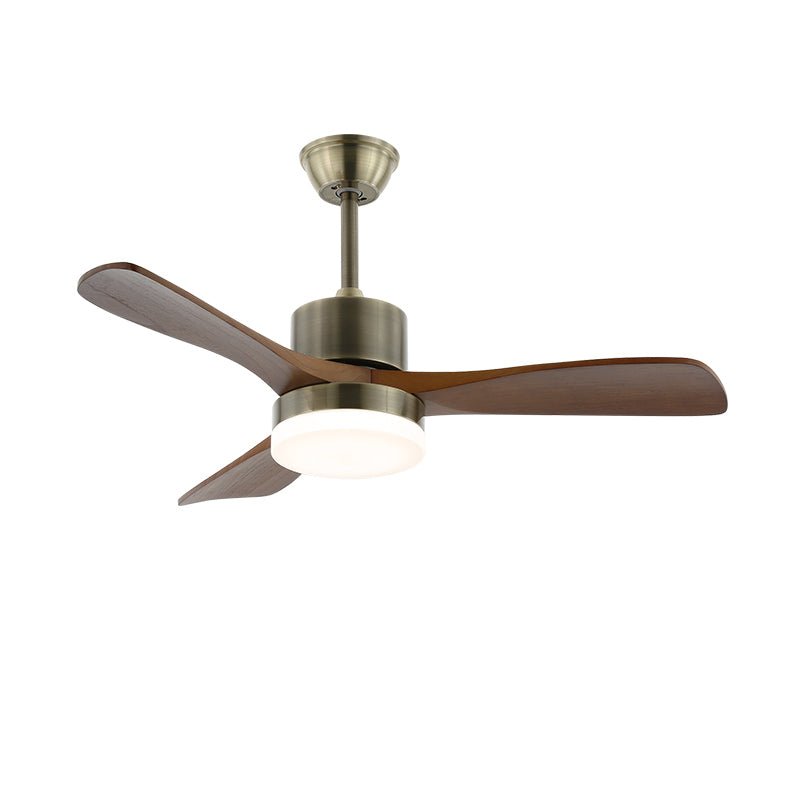 Ventilateur Plafond | Design Minimaliste, Bois et Métal Argenté 15