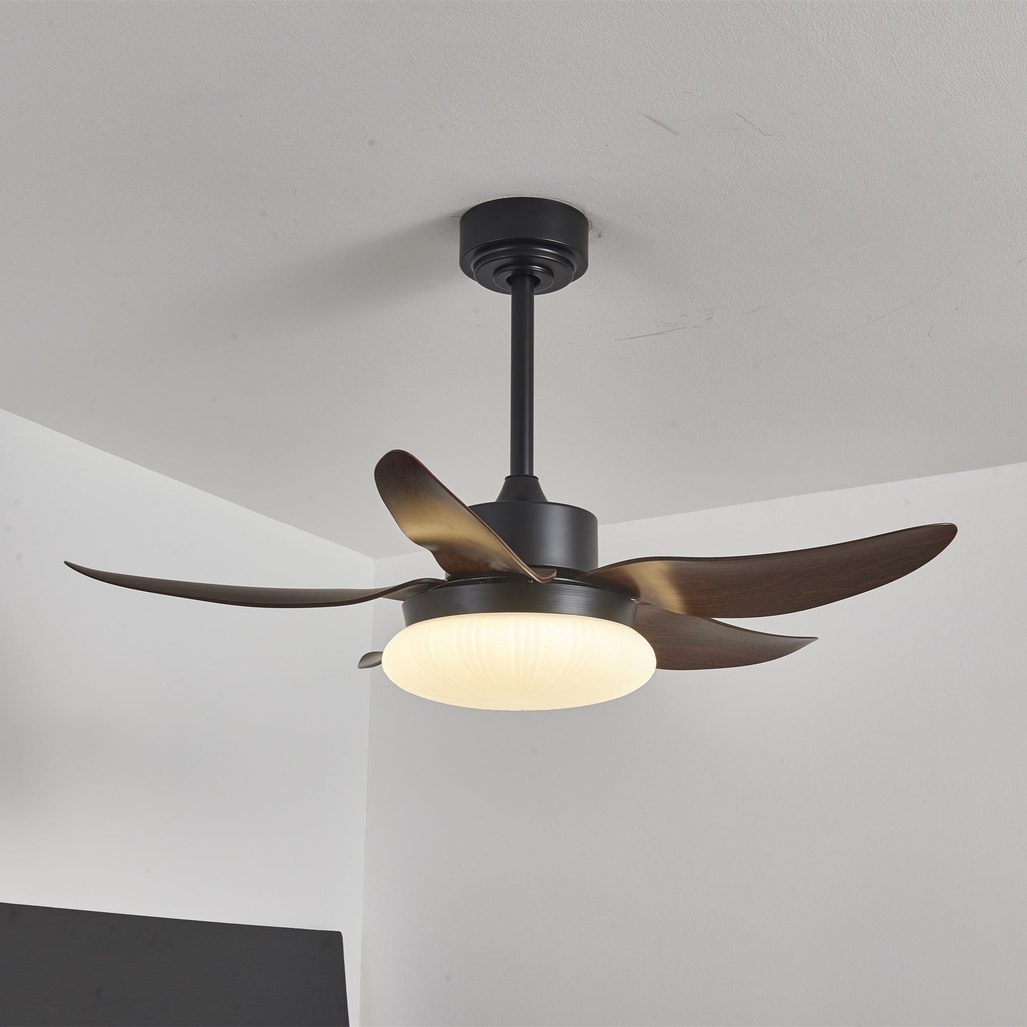 Ventilateur de Plafond | Lumière LED, Télécommande 2