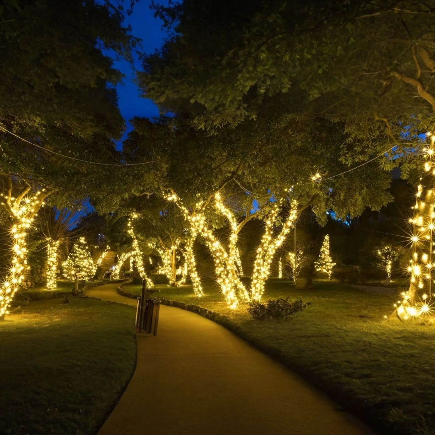Guirlande lumineuse solaire LED blanc chaud extérieur jardin IP65 étanche design moderne