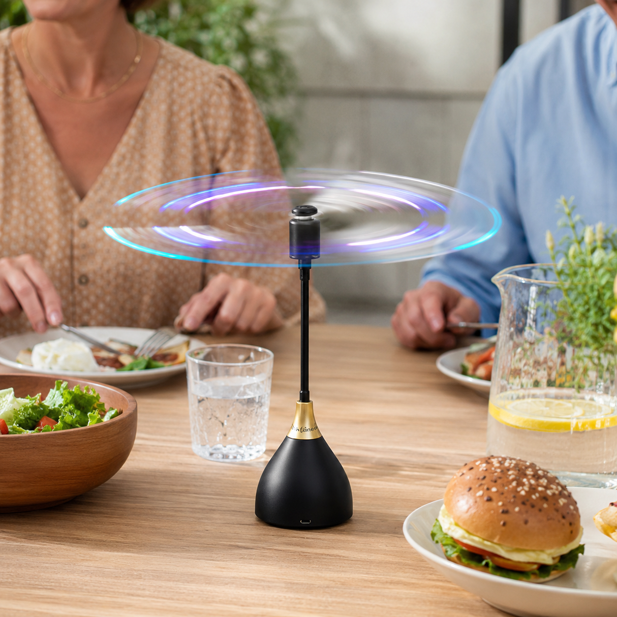Ventilateur Anti-Mouches de Table Plastique Noir Ø25 cm – USB ou Piles, Portable, Lames Flexibles