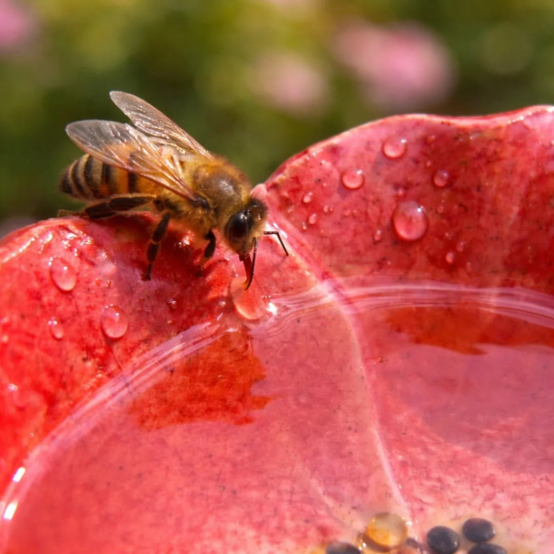 Abreuvoirs pour abeilles | Fleurs en céramique faites à la main, Résistants aux intempéries, Ensemble de 4 4