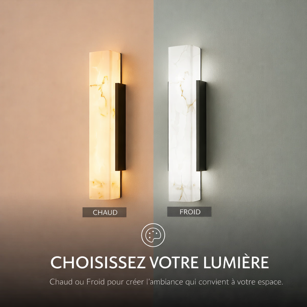 Applique murale LED intérieur acier inoxydable design élégant éclairage mural salon chambre moderne