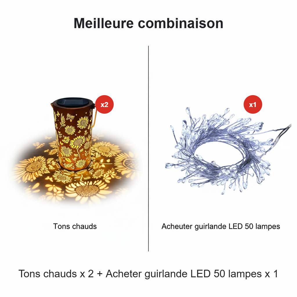 Lanterne Solaire Extérieur | Découpes Florales, Métallique 5