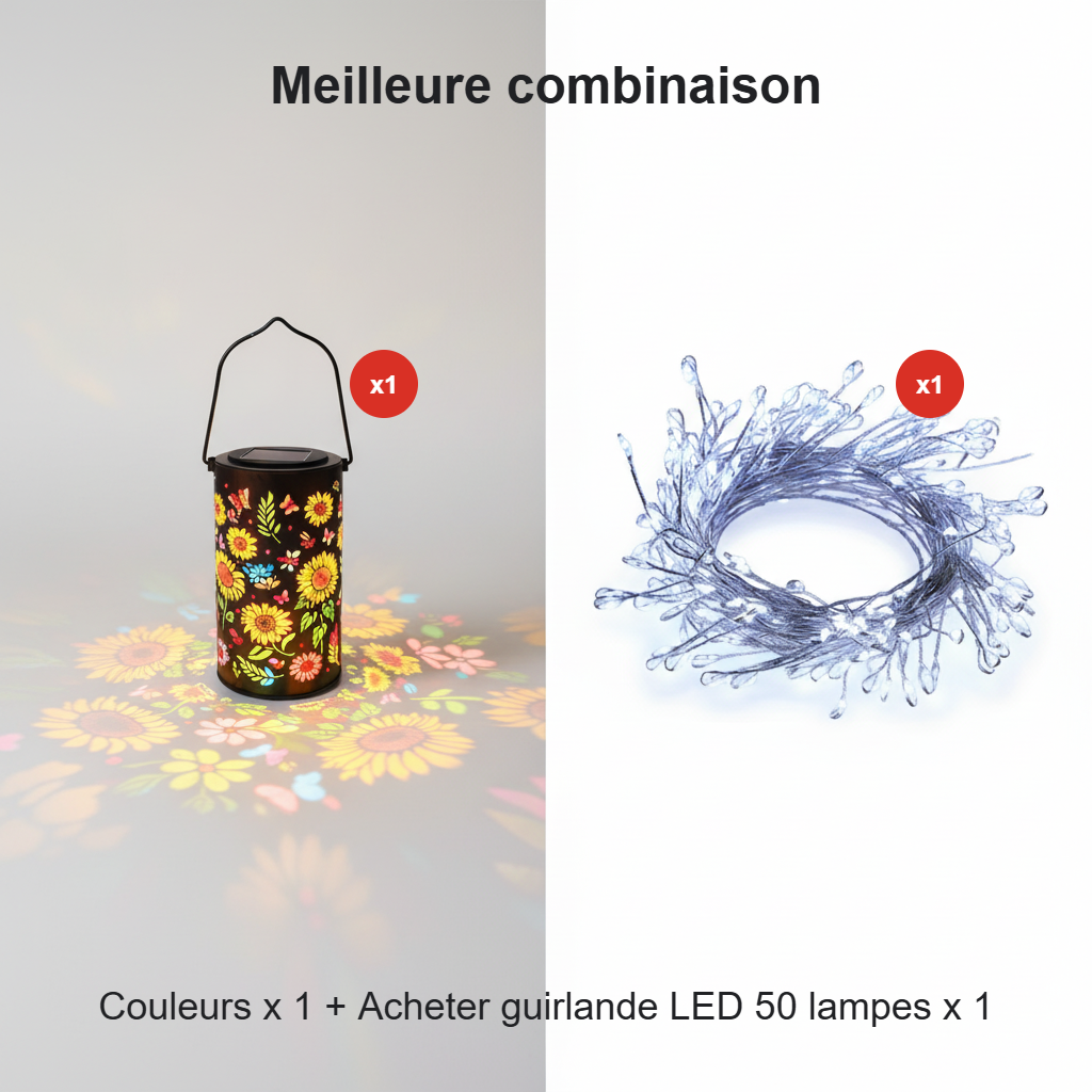 Lanterne Solaire Extérieur | Découpes Florales, Métallique 7