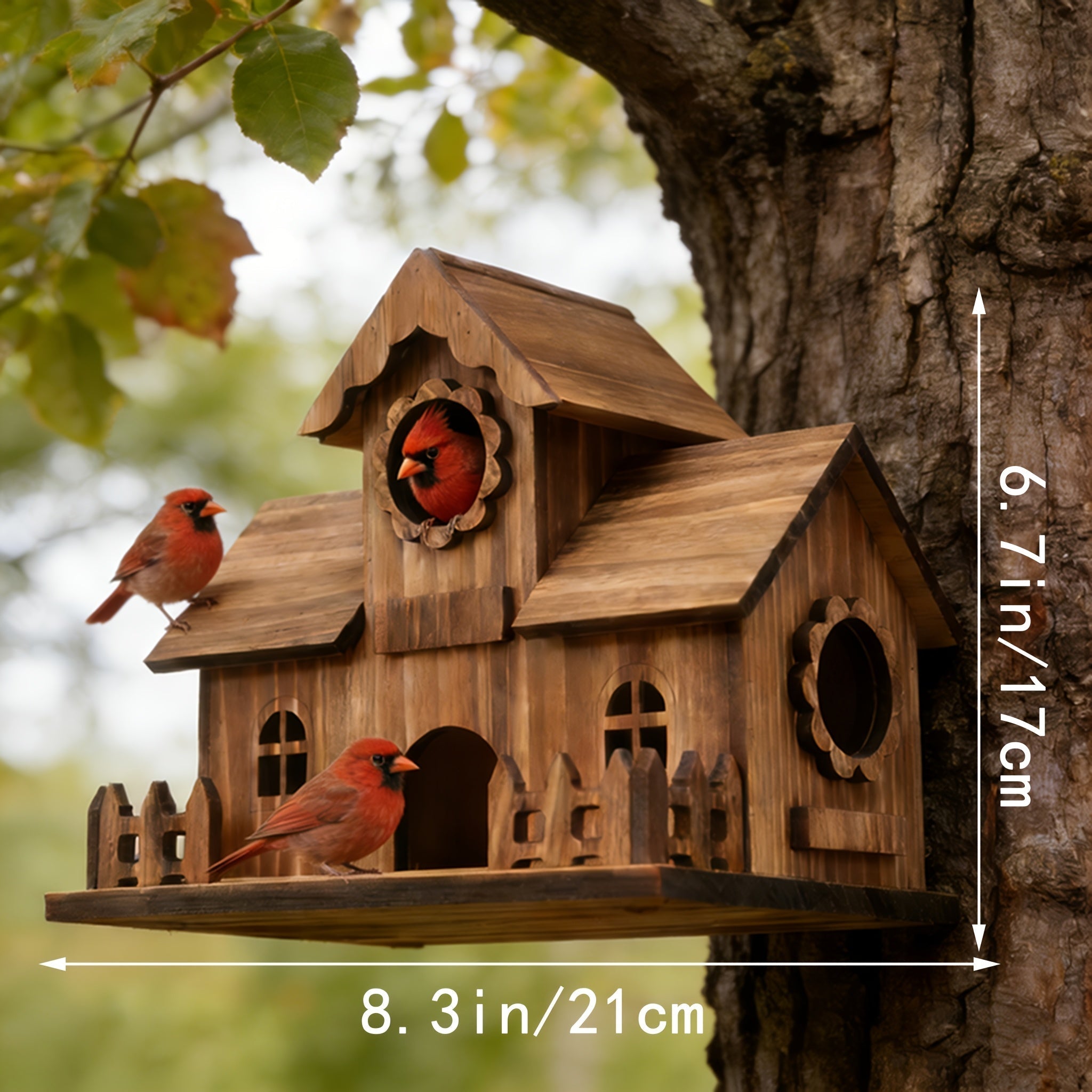 Nichoir à oiseaux | Bois de chêne massif, Entrées multiples 6