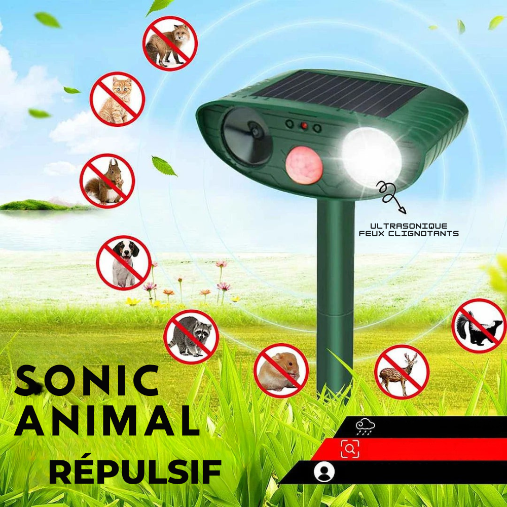 Répulsif à Ultrasons | Capteur de Mouvement Solaire, Dispositif Extérieur pour Jardin (Lot de 4)