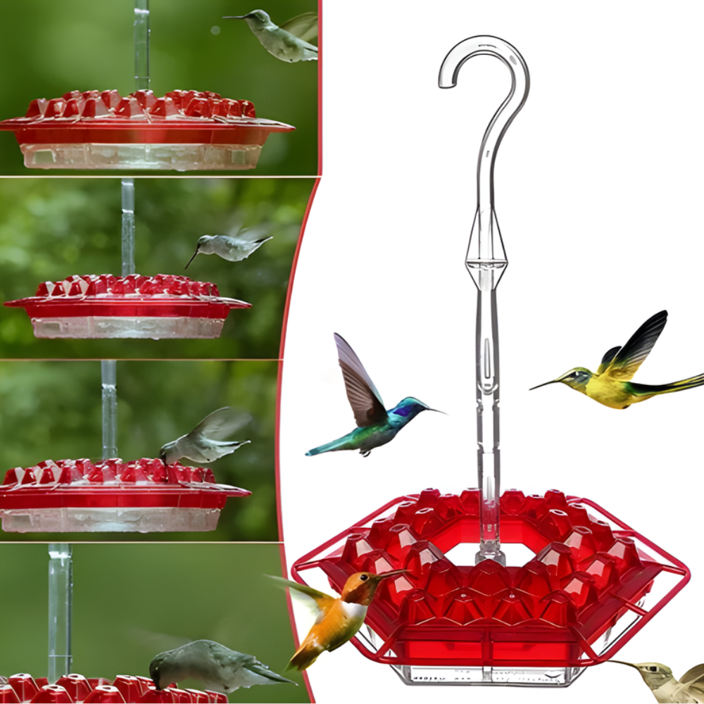 Mangeoire pour Colibris | 12 oz, Mangeoire Suspendue avec Ports en Forme de Fleur pour Jardin
