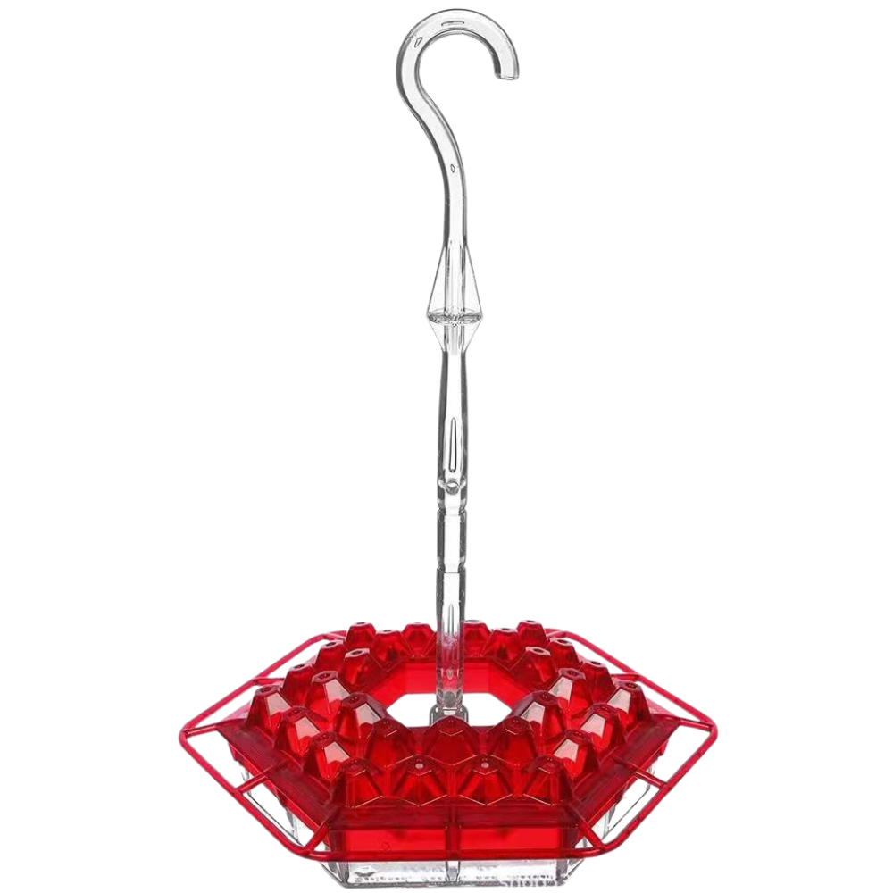 Mangeoire pour Colibris | 12 oz, Mangeoire Suspendue avec Ports en Forme de Fleur pour Jardin