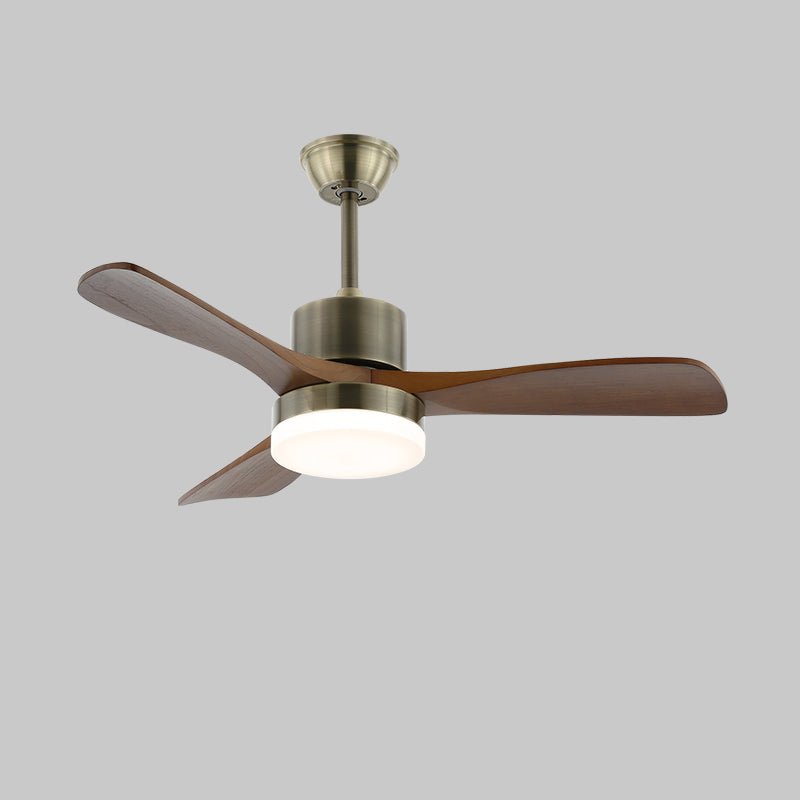 Ventilateur Plafond | Design Minimaliste, Bois et Métal Argenté 11