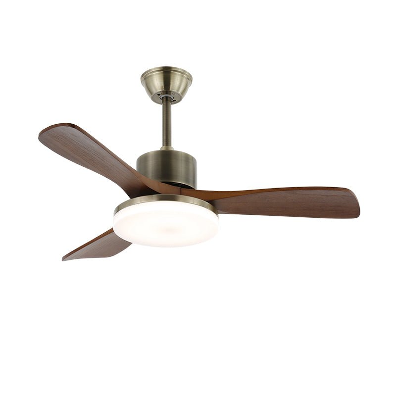 Ventilateur Plafond | Design Minimaliste, Bois et Métal Argenté 12