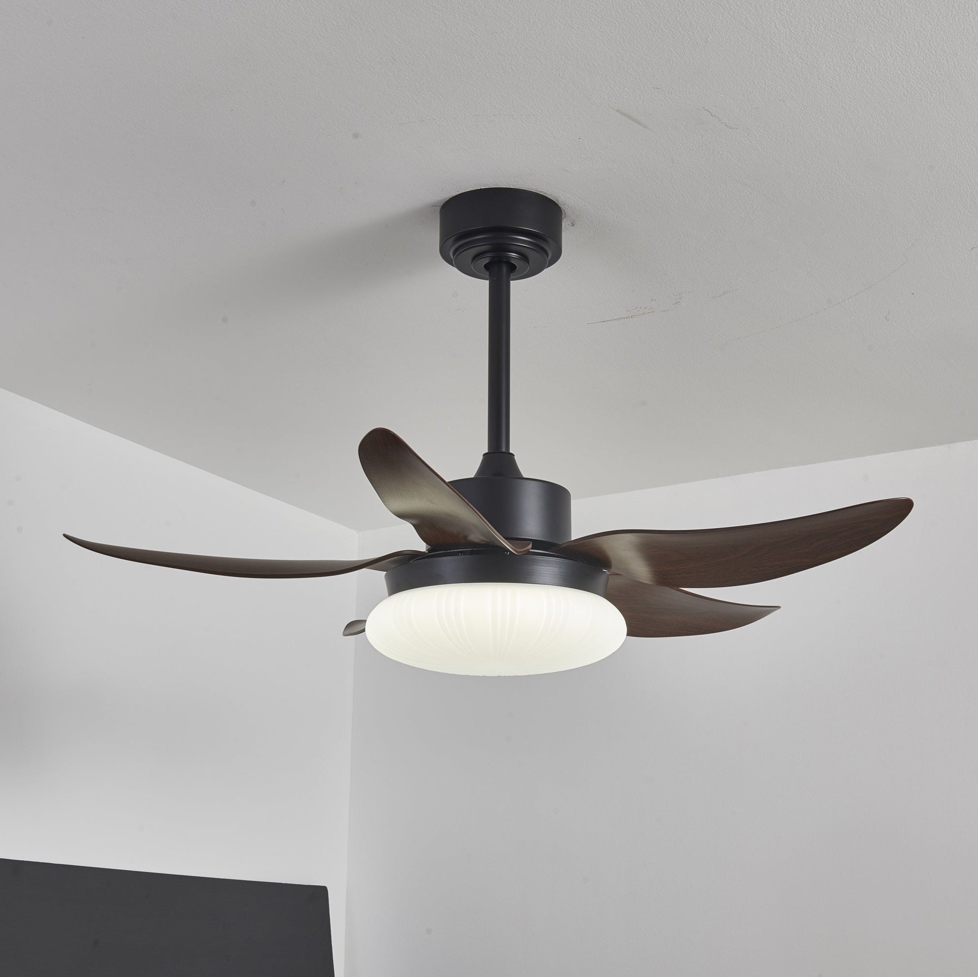 Ventilateur de Plafond | Lumière LED, Télécommande 3