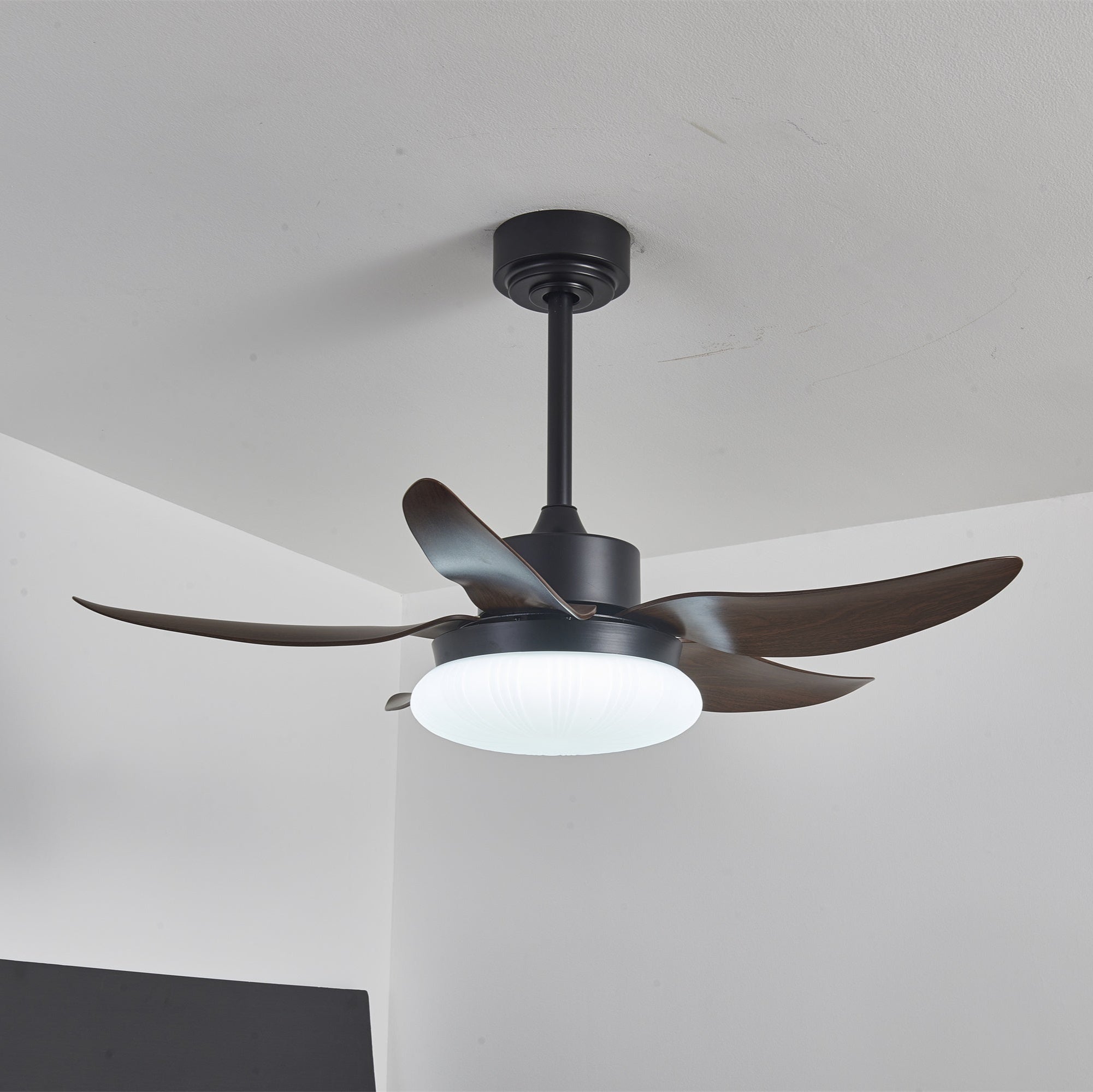 Ventilateur de Plafond | Lumière LED, Télécommande 4