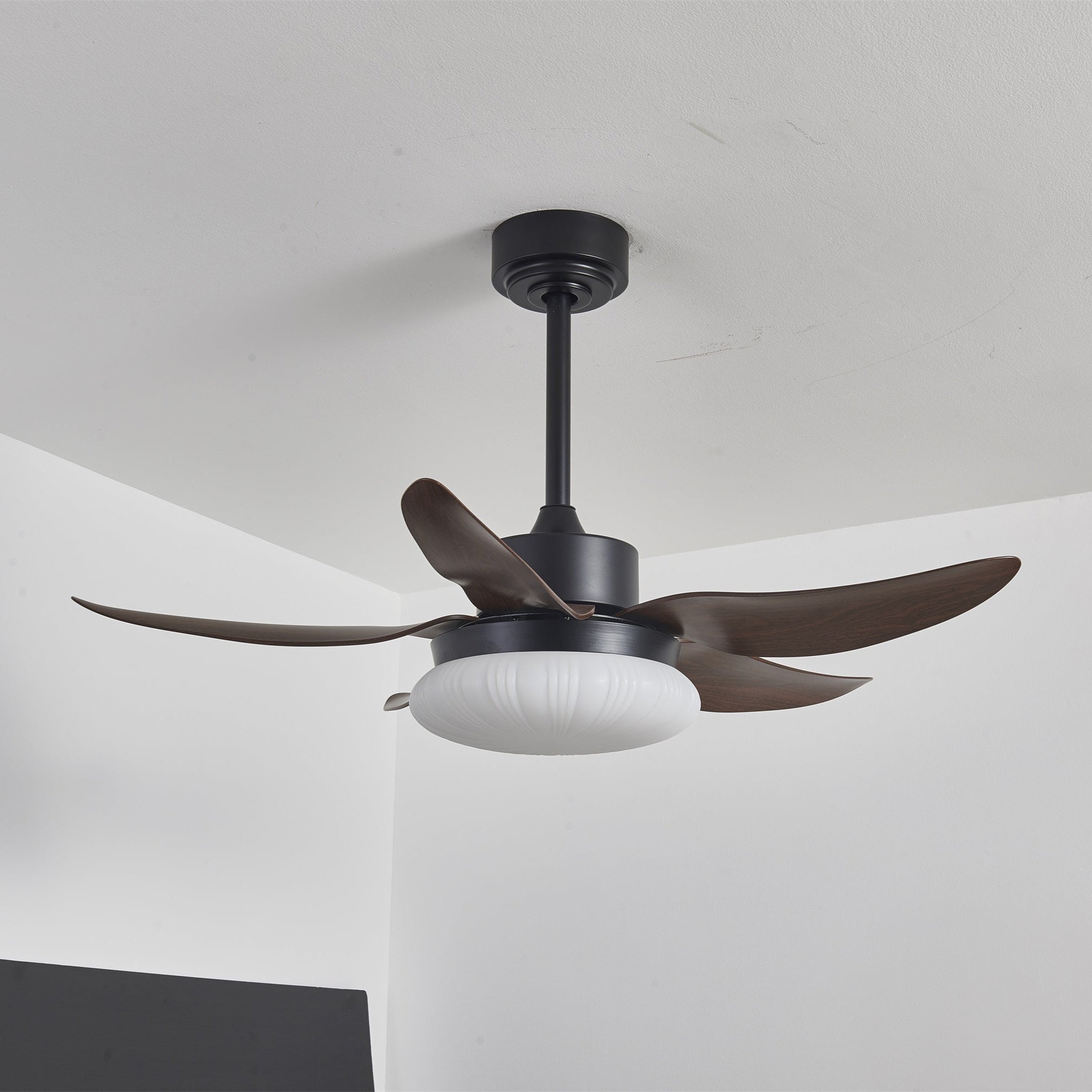 Ventilateur de Plafond | Lumière LED, Télécommande 5