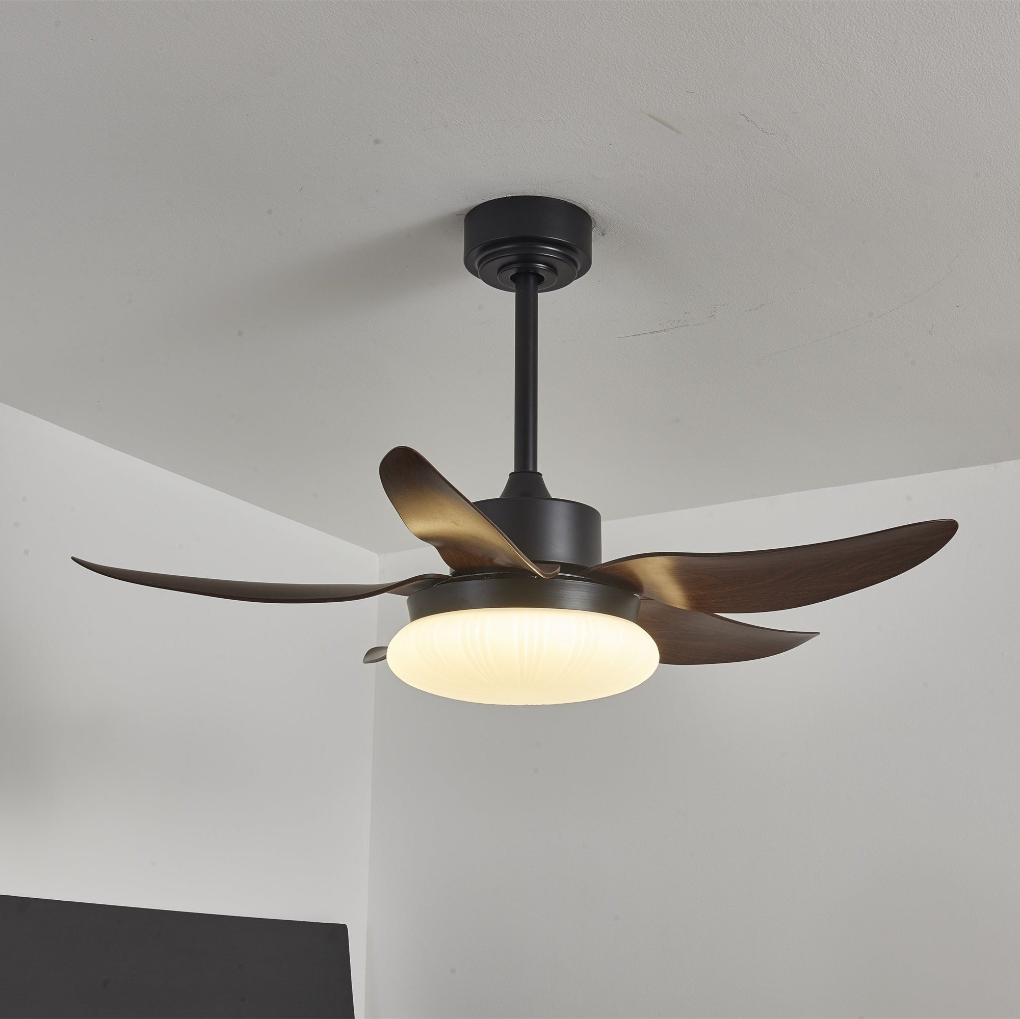 Ventilateur de Plafond | Lumière LED, Télécommande 6