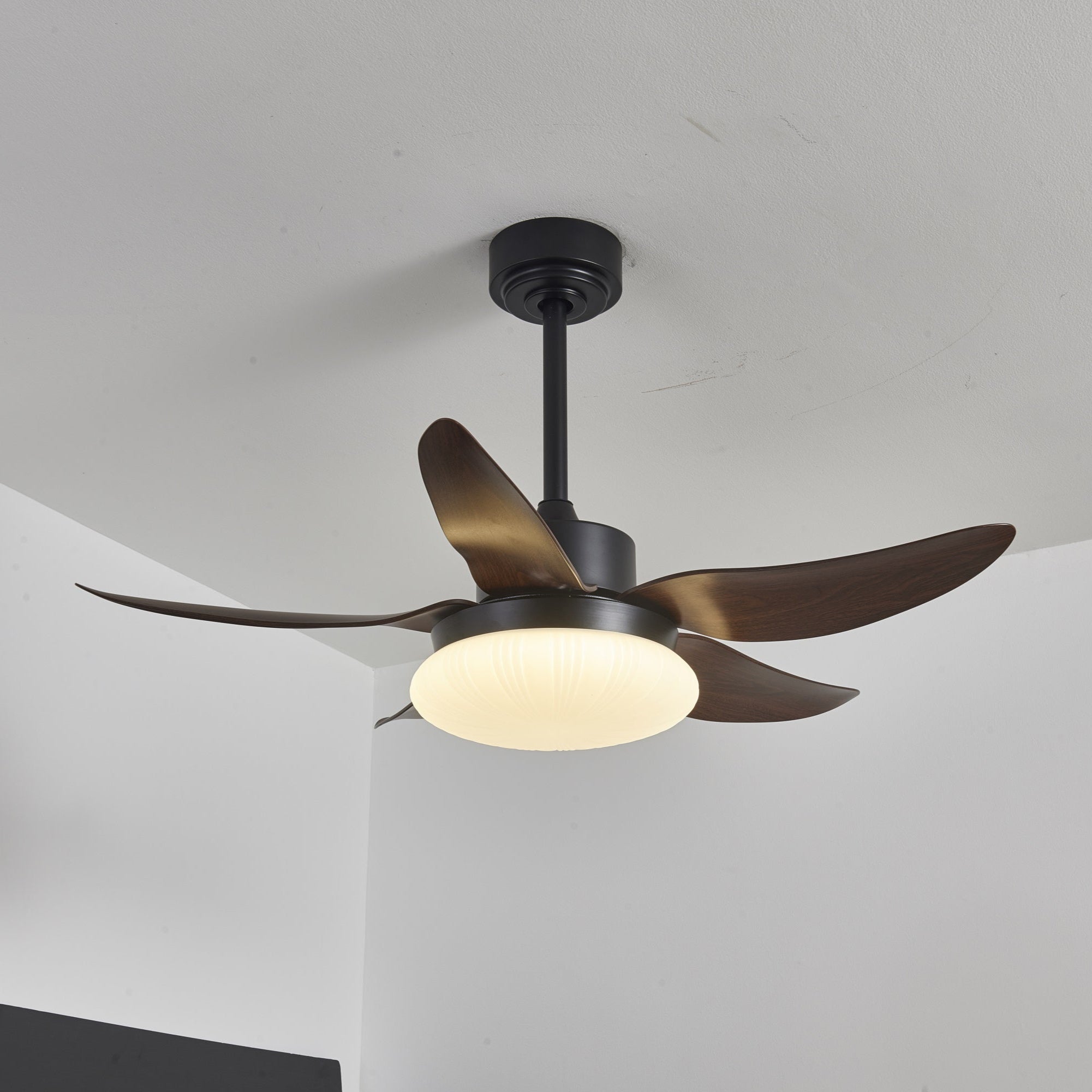 Ventilateur de Plafond | Lumière LED, Télécommande 7