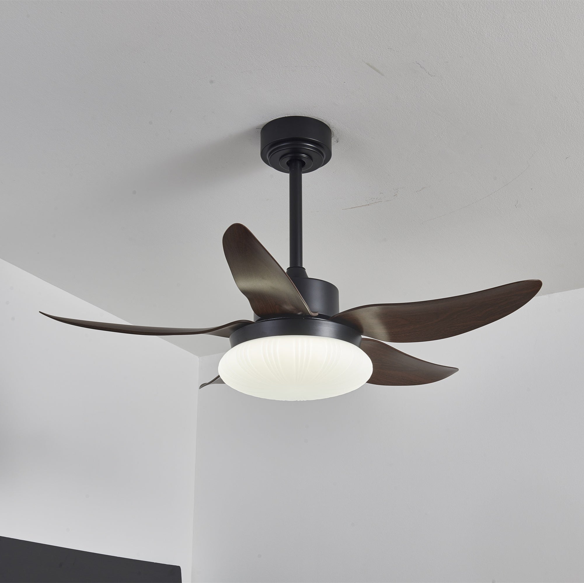 Ventilateur de Plafond | Lumière LED, Télécommande 8