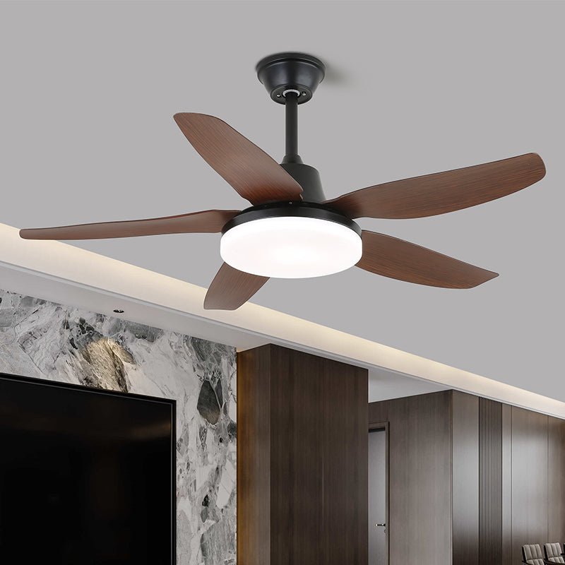 Ventilateur de Plafond | Pales en Bois, Lumière LED Intégrée 6