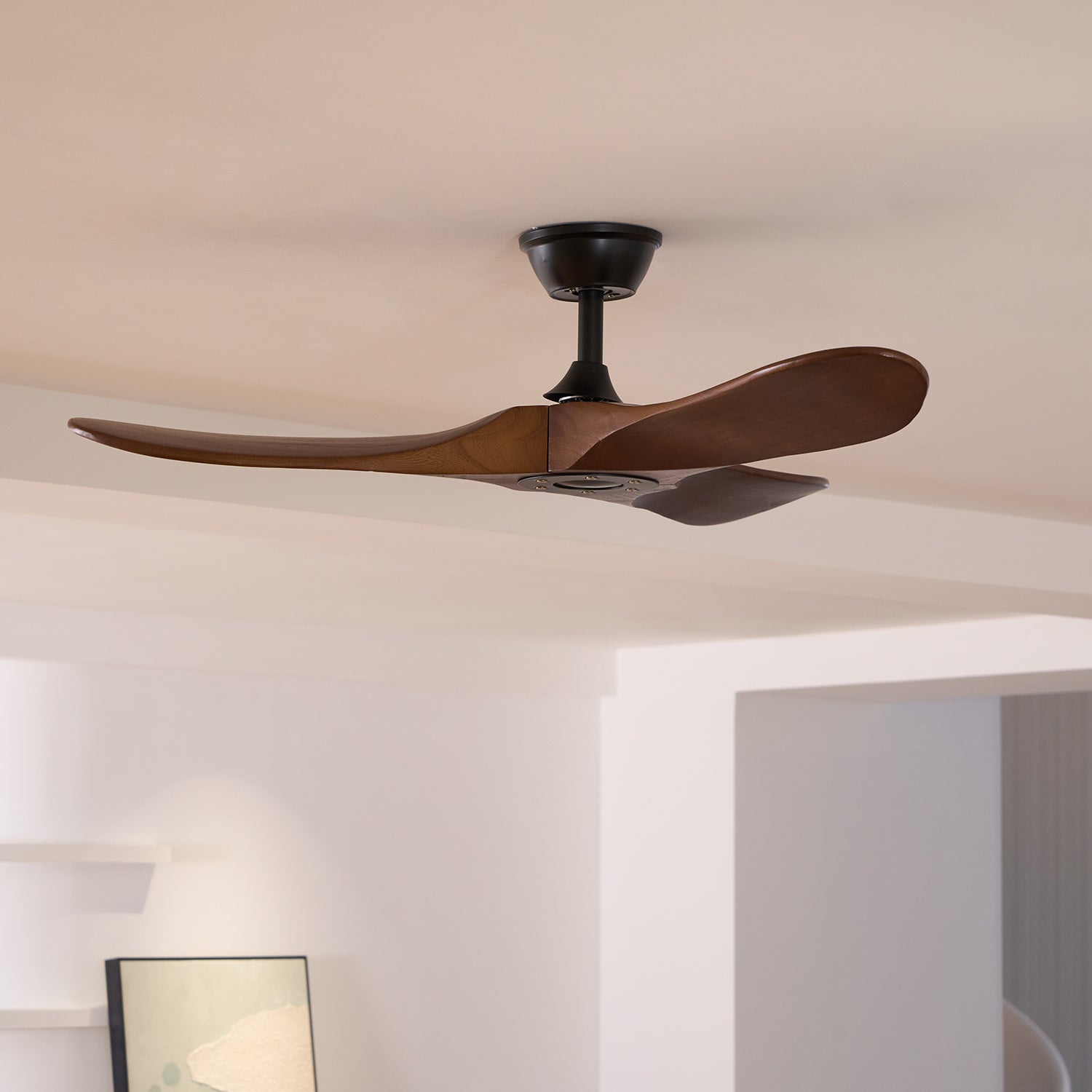 Ventilateur de plafond | Pales en bois, Moteur en cuivre pur 8